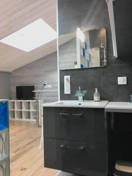 Duplex Atypique 20' De Toulouse Daire Leguevin Dış mekan fotoğraf